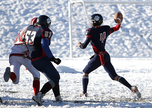 也是一整个 也是一整个