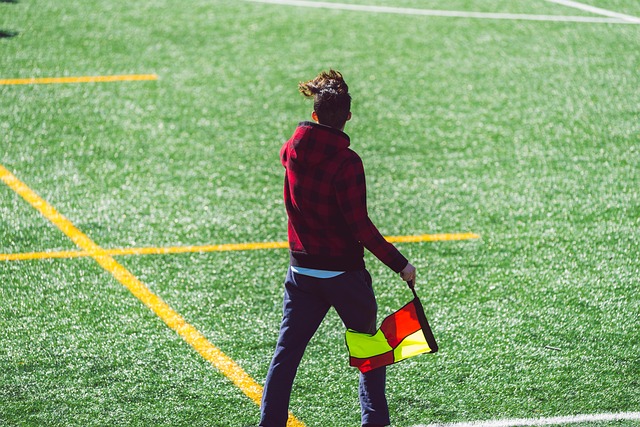 成为许多国 成为许多国