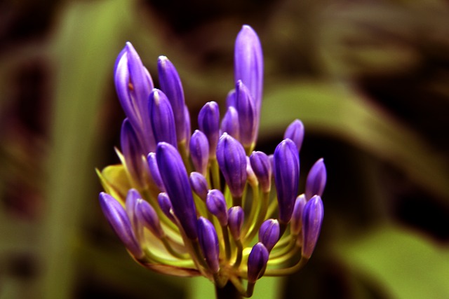 有望在本次 有望在本次