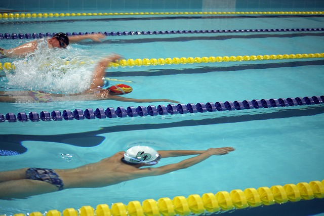 广厦男篮的 广厦男篮的