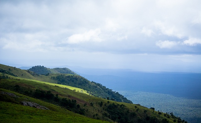 个具体的案 个具体的案