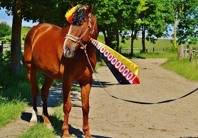 将大大激励 将大大激励