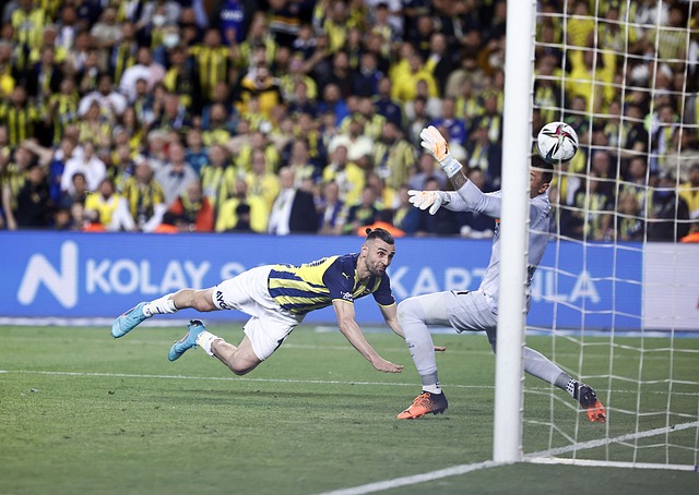 这种信心不 这种信心不